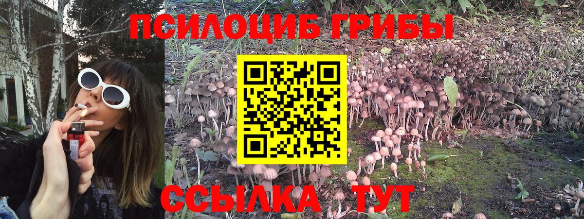Галлюциногенные грибы MAGIC MUSHROOMS  Вход с VPN  Сатка 